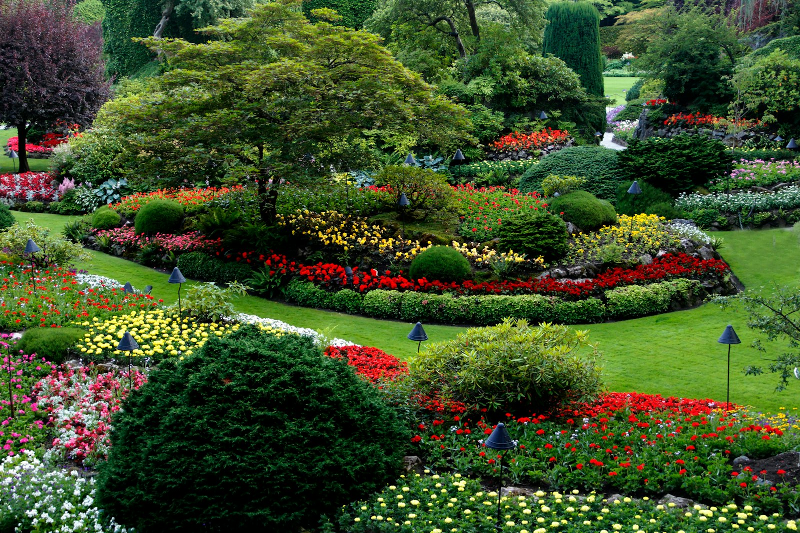 Plantations sur mesure