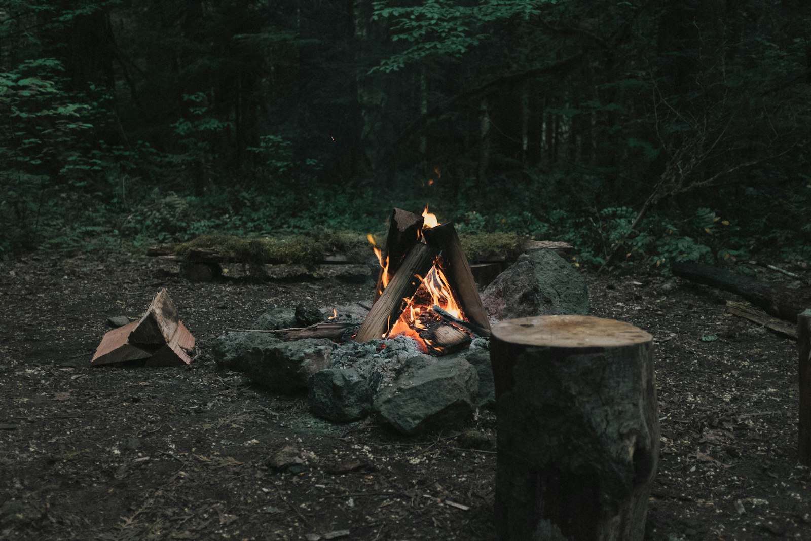 Camping Doré — photo principale