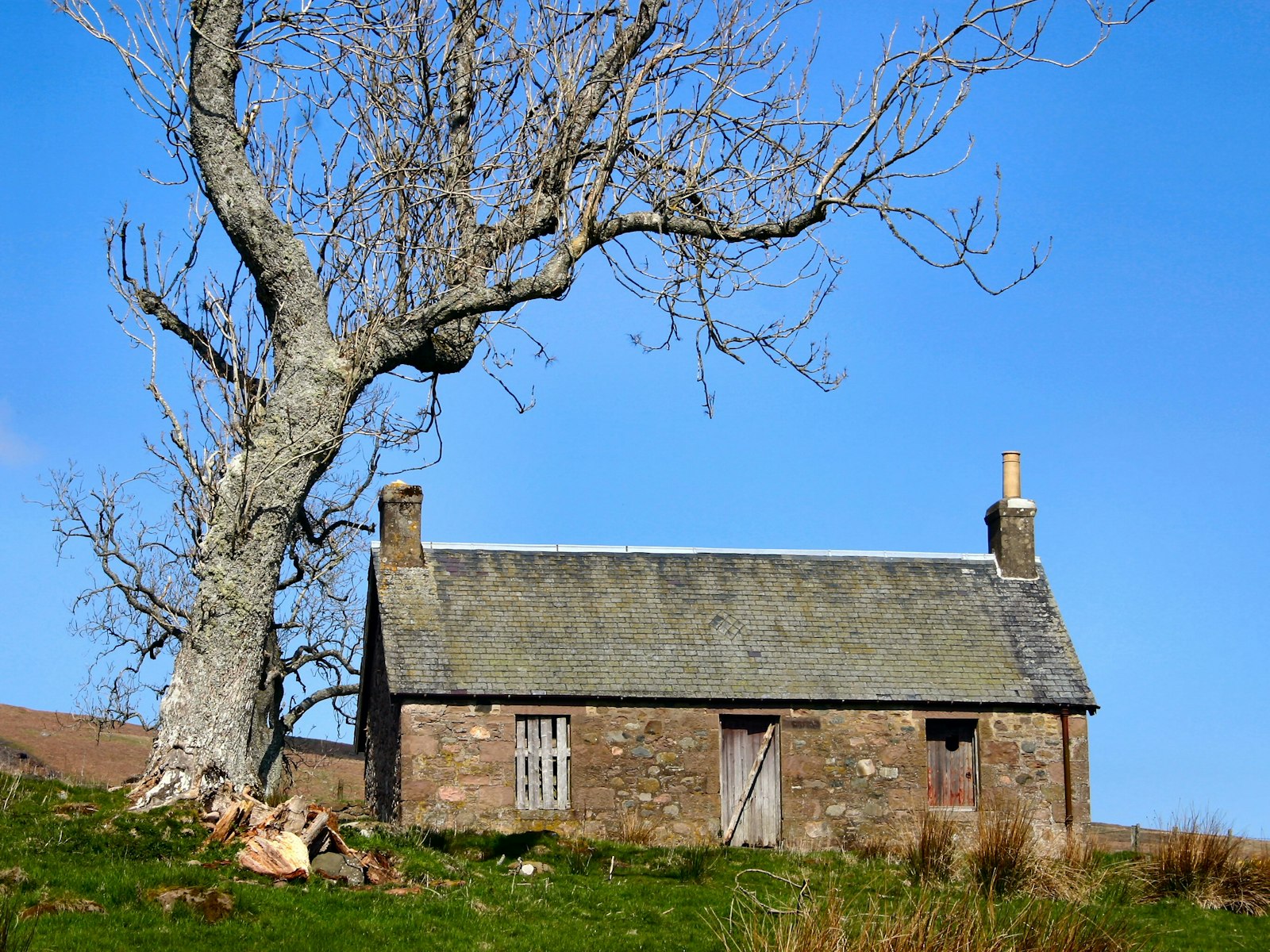 Maison Allard — photo principale